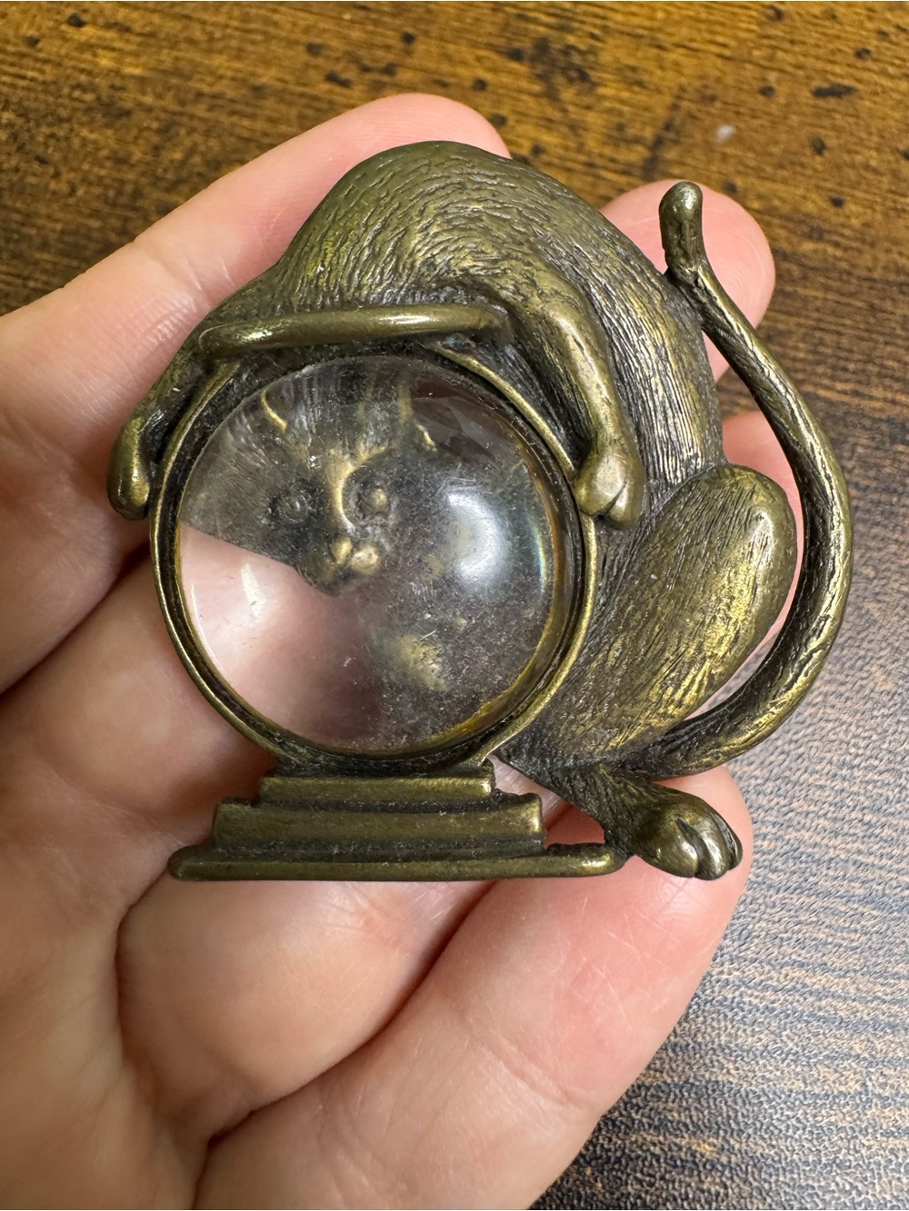 💚4/$20 Jonette Jewelry Brass Cat Looking in Fishbowl Brooch Pin Vintage